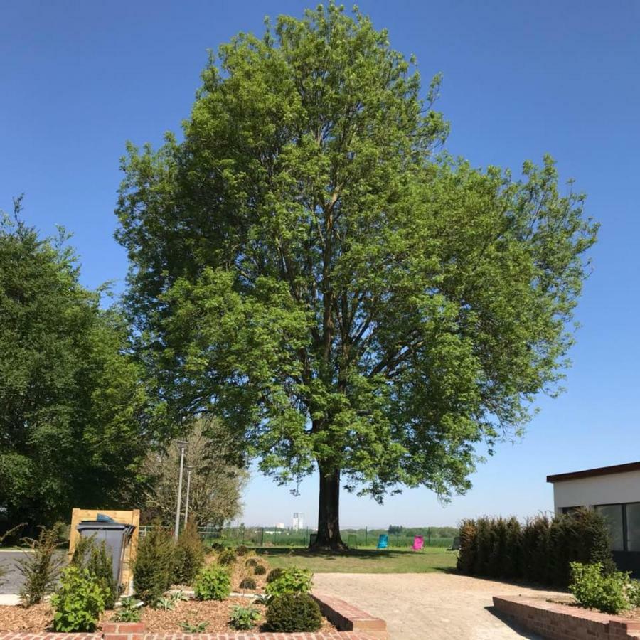 Gîtes du Frêne Wattignies Exterior foto